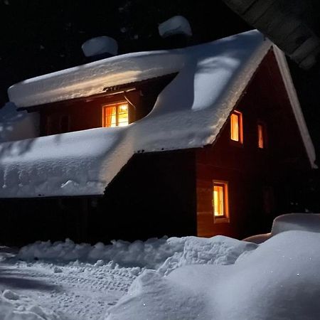Digital Detox Chalet Pokljuka Goreljek المظهر الخارجي الصورة