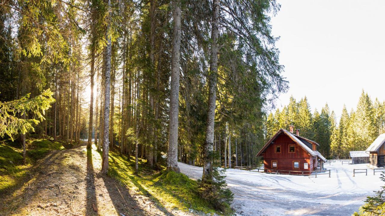 Digital Detox Chalet Pokljuka Goreljek المظهر الخارجي الصورة