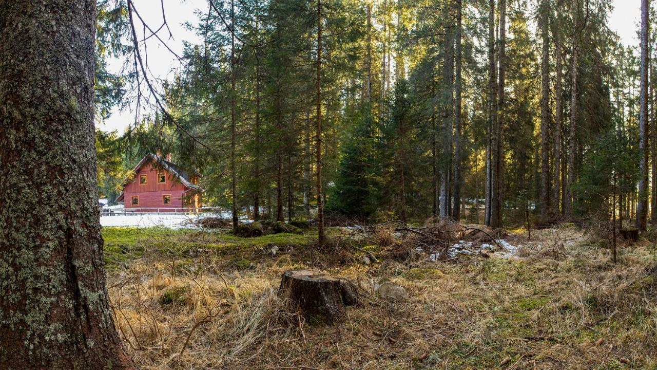 Digital Detox Chalet Pokljuka Goreljek المظهر الخارجي الصورة