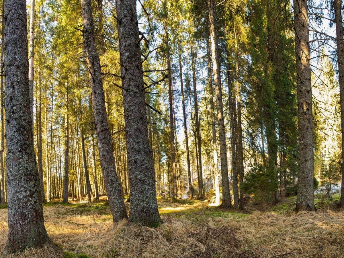 Digital Detox Chalet Pokljuka Goreljek المظهر الخارجي الصورة